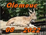 Olomouc 2022
